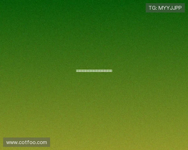 速盈官方手机版安全性评估，确保你的资金无忧无虑